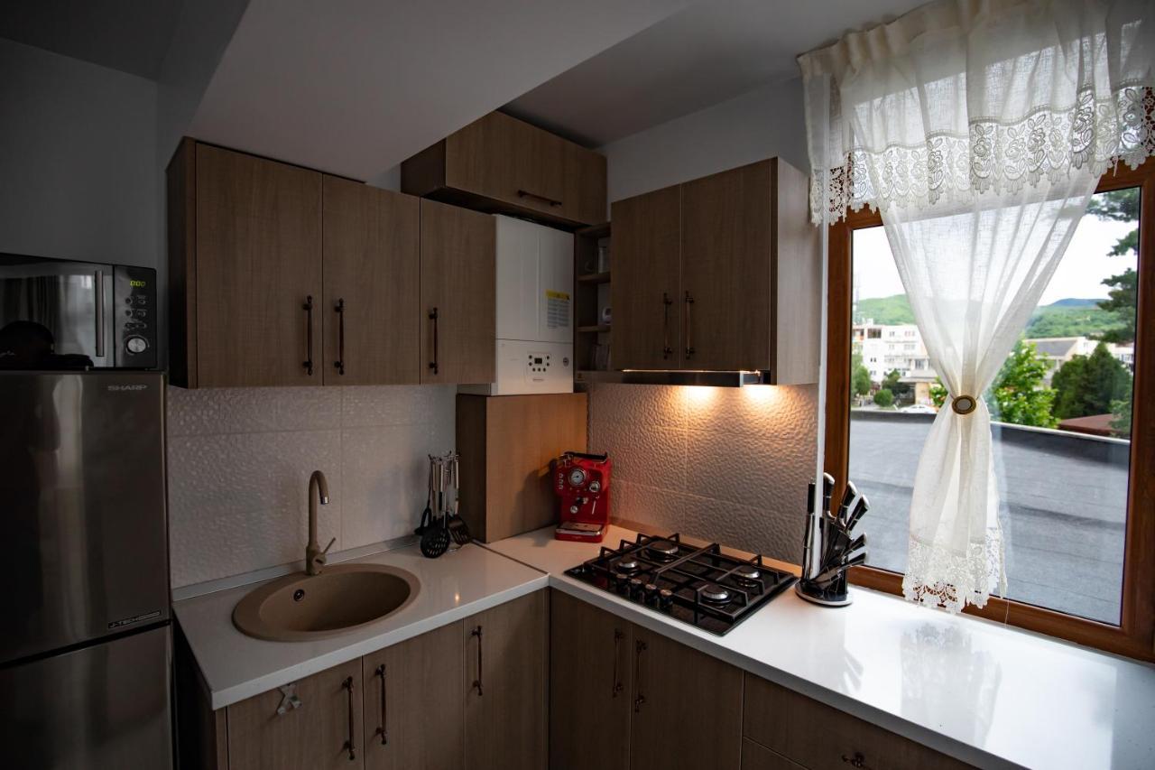 Apartament Natalia Tîrgu Ocna Εξωτερικό φωτογραφία